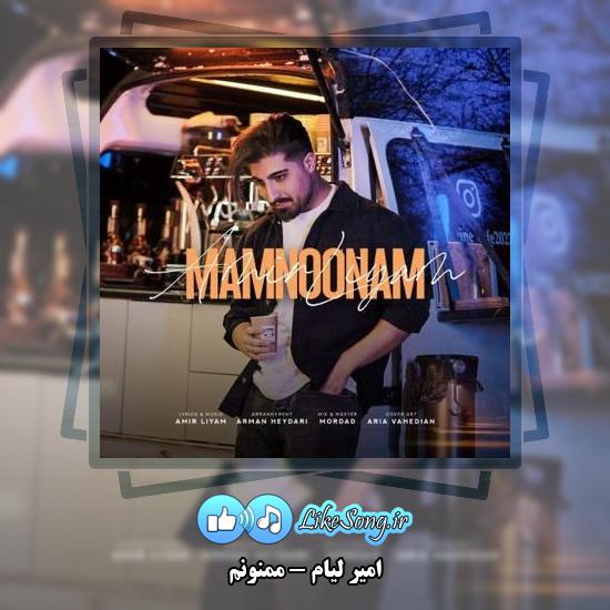 دانلود آهنگ امیر لیام ممنونم